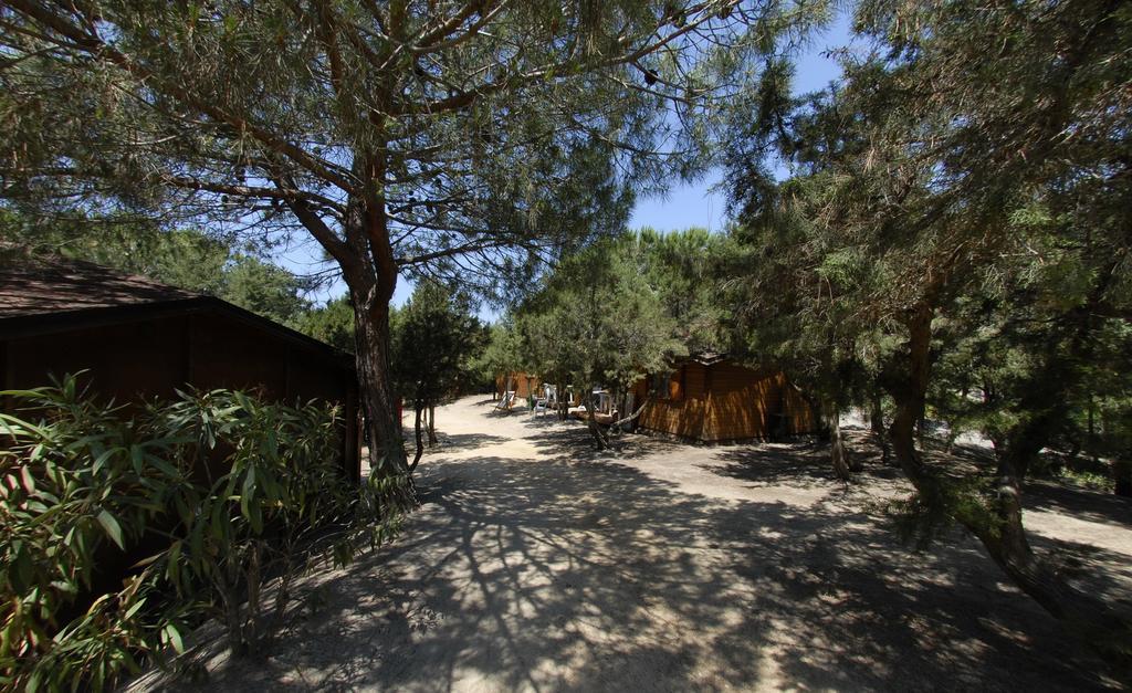 Villaggio Camping Spiaggia Del Riso 빌라시미우스 외부 사진