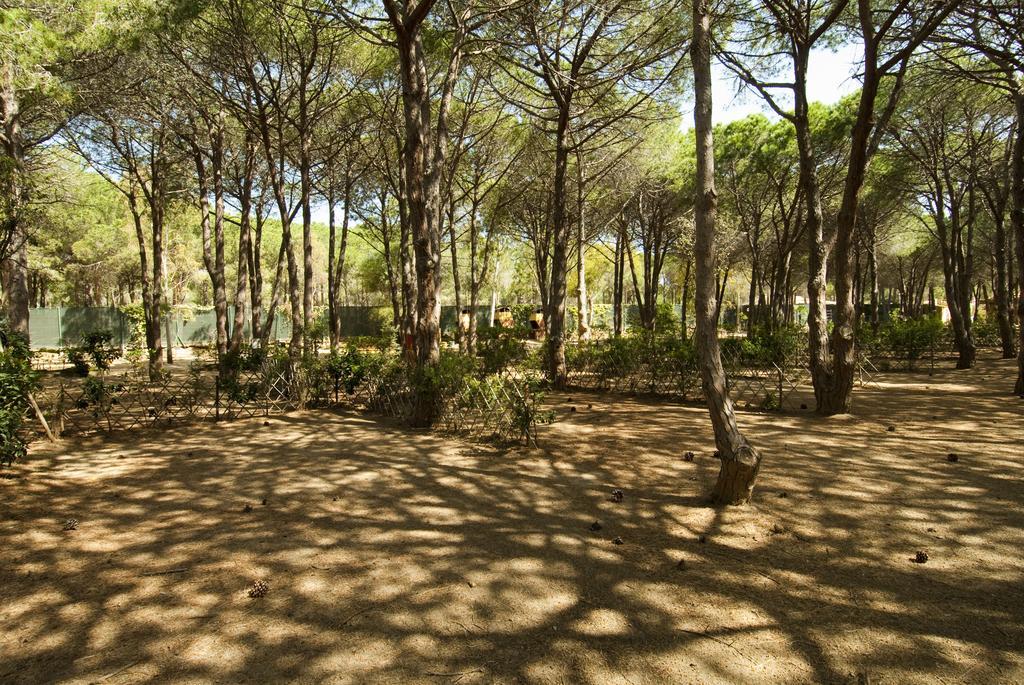 Villaggio Camping Spiaggia Del Riso 빌라시미우스 외부 사진